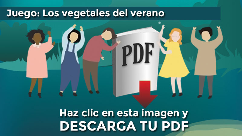 Descarga el PDF: Nutricoles. Los vegetales del verano