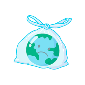 bolsa