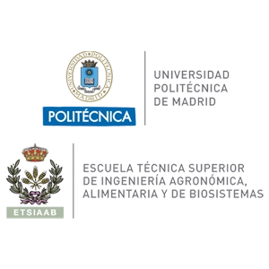 Universidad Politécnica de Madrid